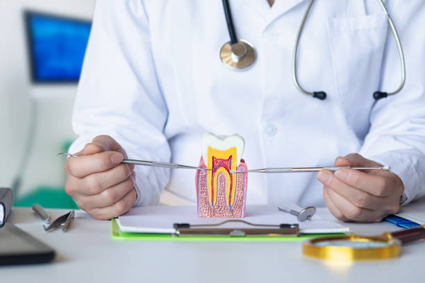 Best Emergency Wisdom Teeth Removal in Johnston City, IL